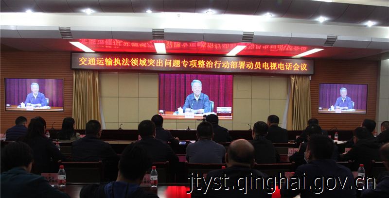 省厅组织参加交通运输部召开的交通运输执法领域突出问题专项整治行动动员部署电视电话会议